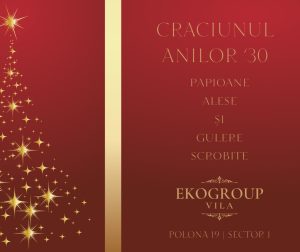 Eko Group Vila: O Călătorie în Timpul Eleganței Crăciunului Anilor ’30